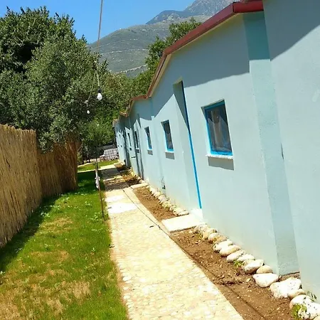 Glamping At The Sea Turtle