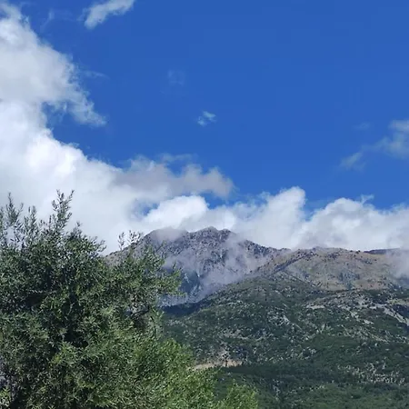 Campsite Glamping At The Sea Turtle *