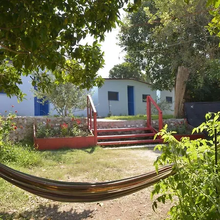 Glamping At The Sea Turtle Parque de Campismo *