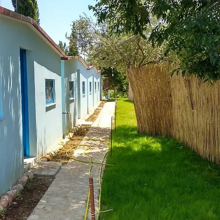 Campsite Glamping At The Sea Turtle Dhermi