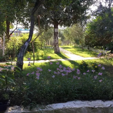 Glamping At The Sea Turtle Campsite *