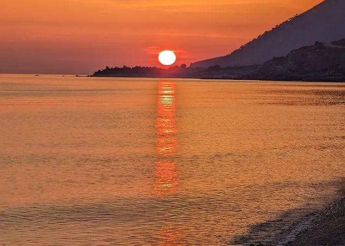Glamping At The Sea Turtle Kamp alanı