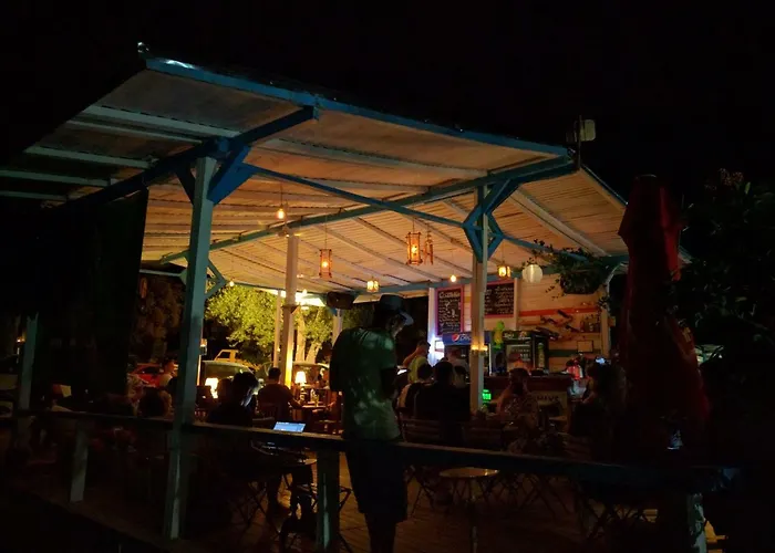 Glamping At The Sea Turtle Camping *