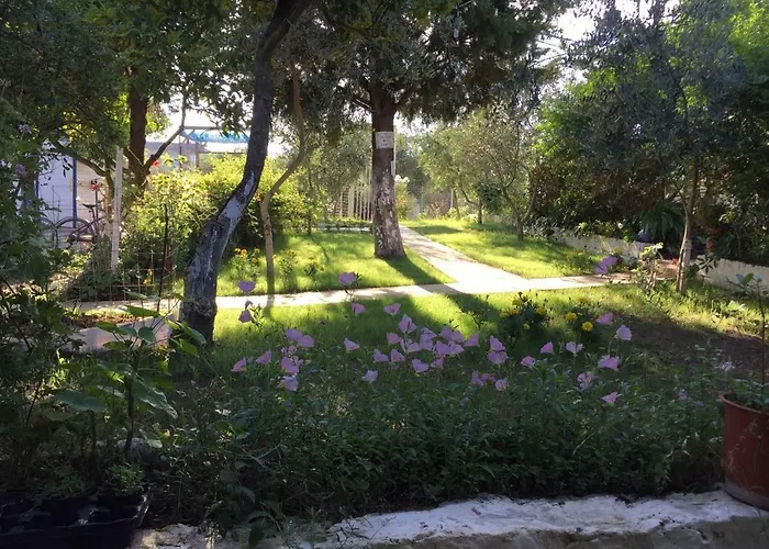 Glamping At The Sea Turtle Camping *